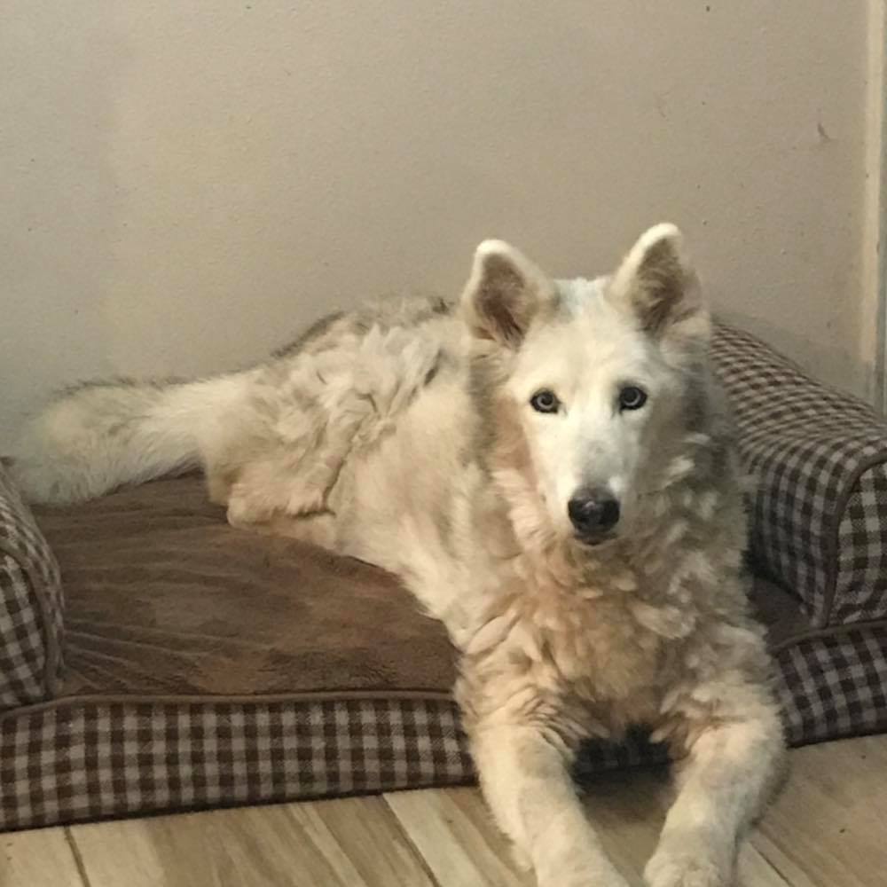 Meet your Posher, Terri